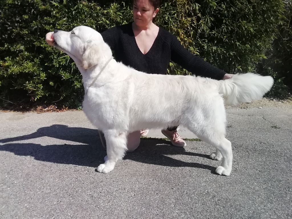 Shine Your Way U are my rising true love