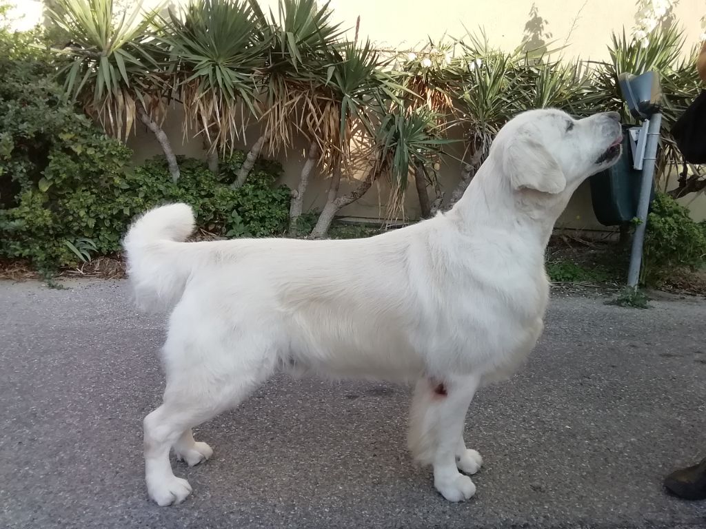 Shine Your Way So expected like snow