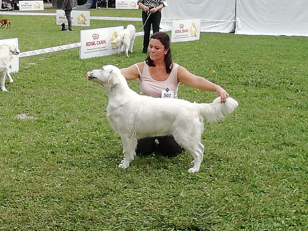 Rising True Love Volga vip